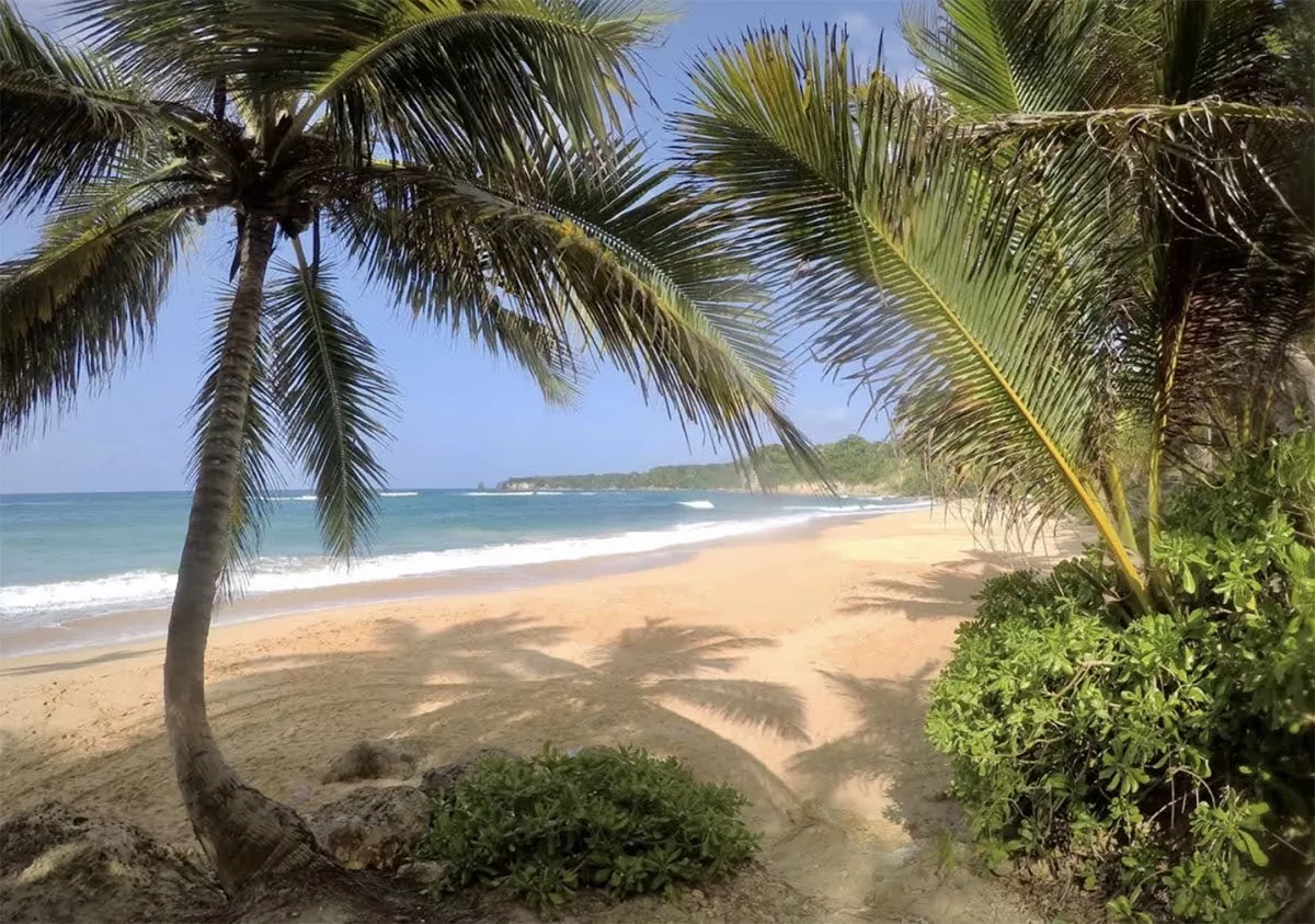 Playa Preciosa: Un Tesoro Escondido en la Costa Norte